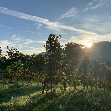 Apartment Weingut Familie Danko Gamlitz