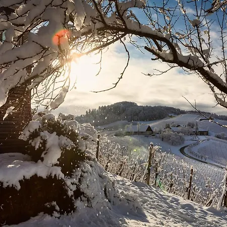 Weingut Familie Danko *