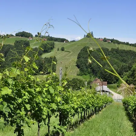Weingut Familie Danko Apartment *