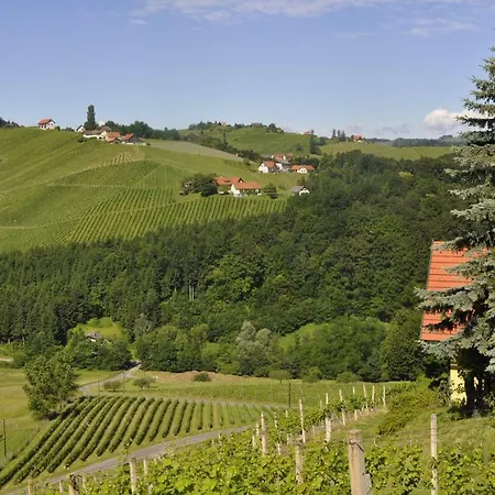 Weingut Familie Danko Apartment